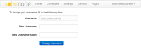 change-username-form.png