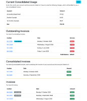 sn-consolidated-accounts-ui-billing-page@2x.png